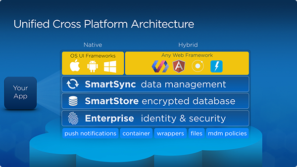 Mobile SDK Unified Cross Platform Architecture