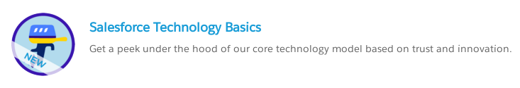 Salesforce Technology Basics